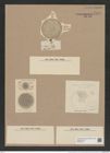 Coscinodiscus antarcticus Grun. (de-Toni-Nr.: Genus 202, Species 4963) Zeichnungen Sammlung Grunow Nr. 8554 (NHMW-BOT-W0378194)